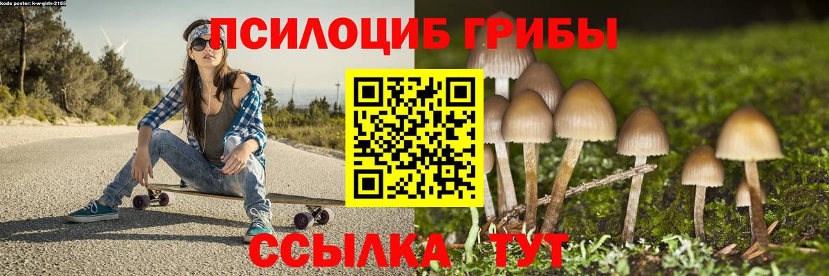 Лесозаводск  Галлюциногенные грибы Psilocybe  купить наркоту  Псилоцибиновые грибы GOLDEN TEACHER  Вход с VPN 